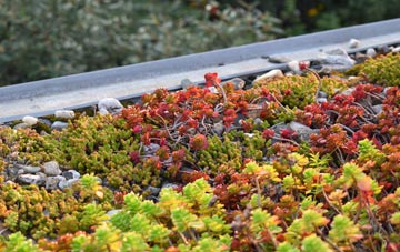 the cost of North Ormsby green roof installation