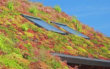 North Ormsby living roof systems